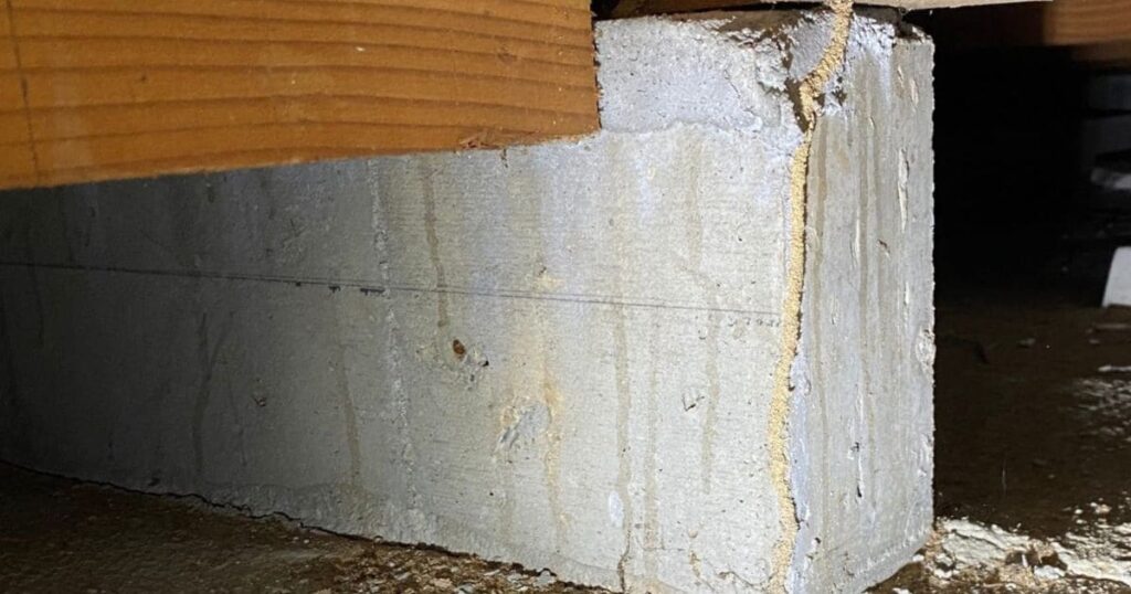 ネズミの種類と侵入口の傾向