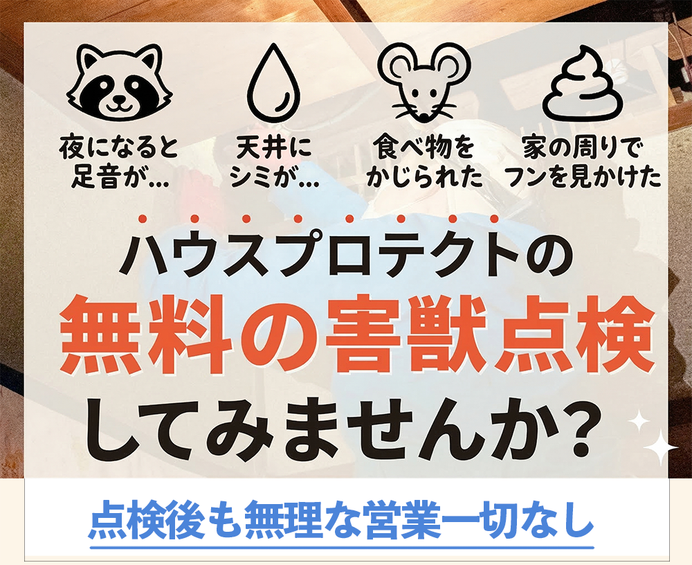 ハウスプロテクトの無料の害獣点検してみませんか？点検後も無理な営業一切なし