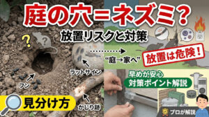 庭の穴はネズミの仕業？見分け方と放置リスク、対策をプロが解説