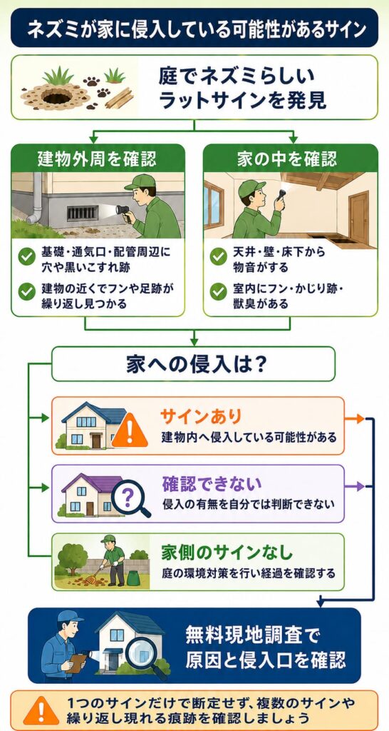 ネズミが家に侵入している可能性があるサイン