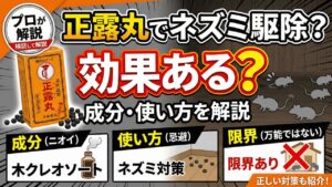 ネズミ駆除に正露丸は効果ある？成分・使い方・限界をプロが解説