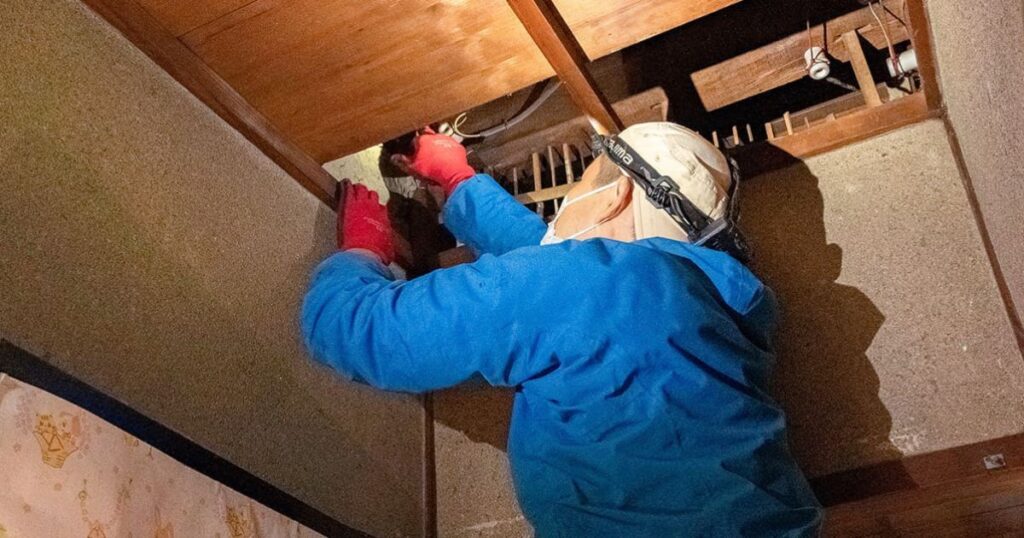 プロのネズミ駆除業者へ依頼した方がいいケース