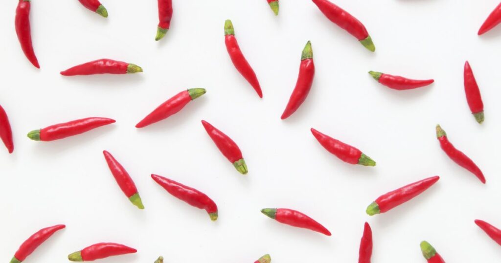 唐辛子を使った3つの設置方法
