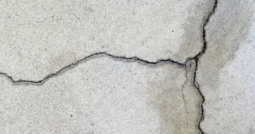 ネズミ被害を再発を防ぐためには侵入経路の封鎖が必須！