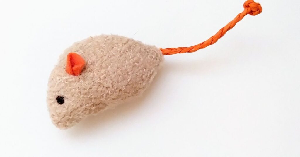 【発見場所別】ネズミの赤ちゃんへの正しい対処法