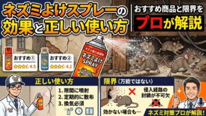 ネズミよけスプレーの効果と正しい使い方｜おすすめ商品と限界をプロが解説