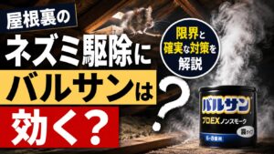 屋根裏のネズミ駆除にバルサンは効く？限界と確実な対策を解説