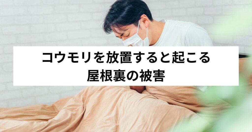 コウモリを放置すると起こる屋根裏の被害