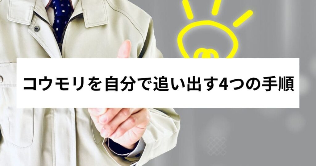 コウモリを自分で追い出す4つの手順