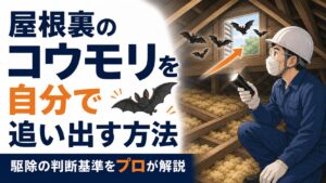 屋根裏のコウモリを自分で追い出す方法と駆除の判断基準をプロが解説
