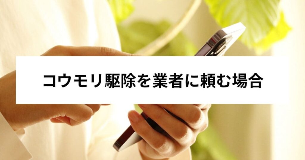 コウモリ駆除を業者に頼む場合