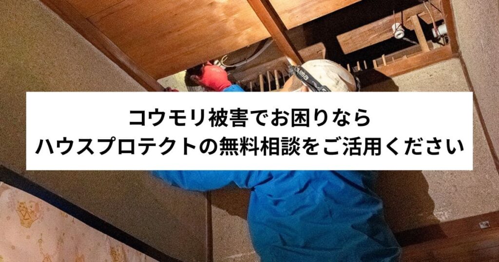 コウモリ被害でお困りならハウスプロテクトの無料相談をご活用ください