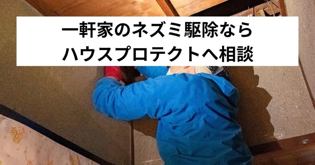 一軒家のネズミ駆除ならハウスプロテクトへ相談