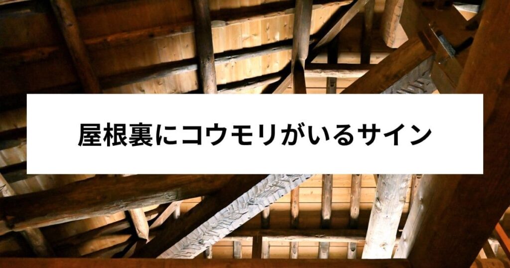 屋根裏にコウモリがいるサイン