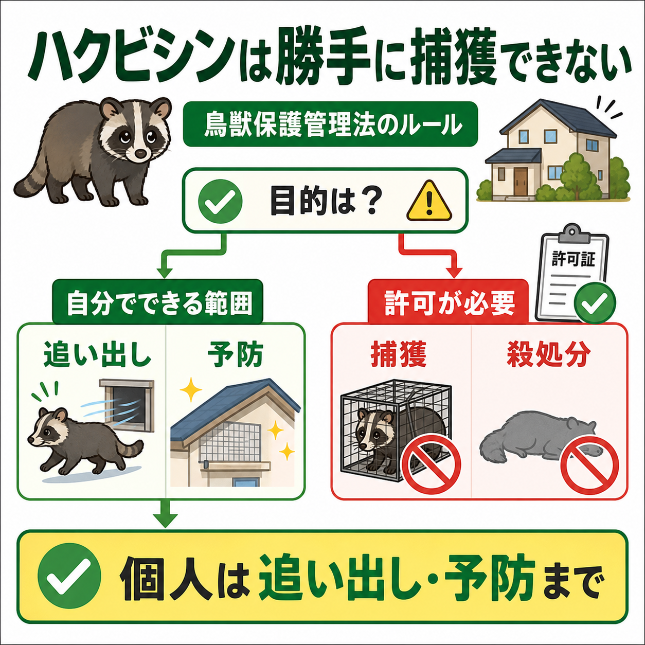 ハクビシンを自分で駆除できるか判断する鳥獣保護管理法フローチャート図解