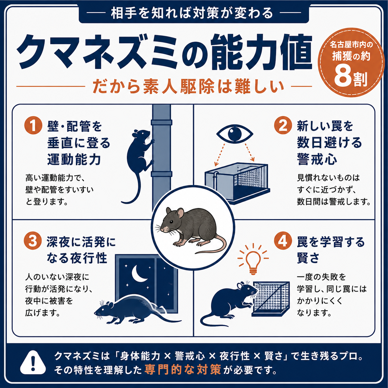 クマネズミの習性4つ（壁を登る・罠を避ける・夜行性・学習能力）の図解