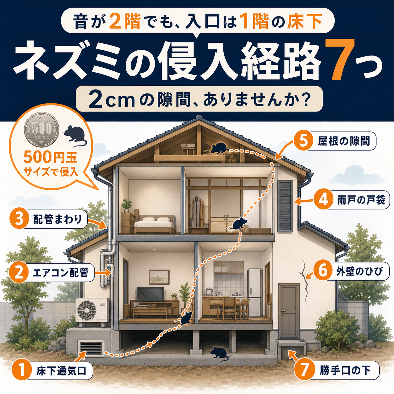 住宅でネズミの侵入経路になりやすい7つの場所の断面図解