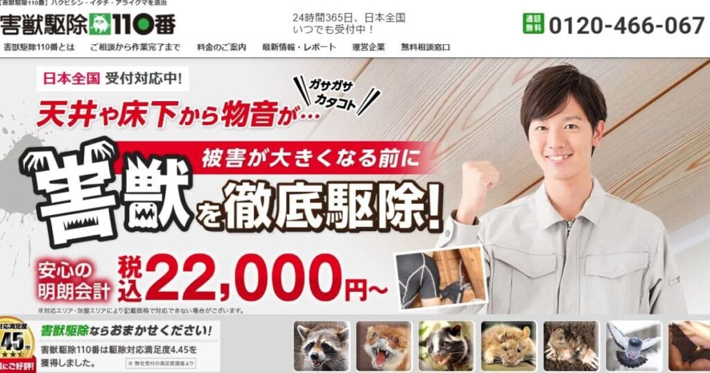 コウモリ退治業者　おすすめ　害獣駆除110番