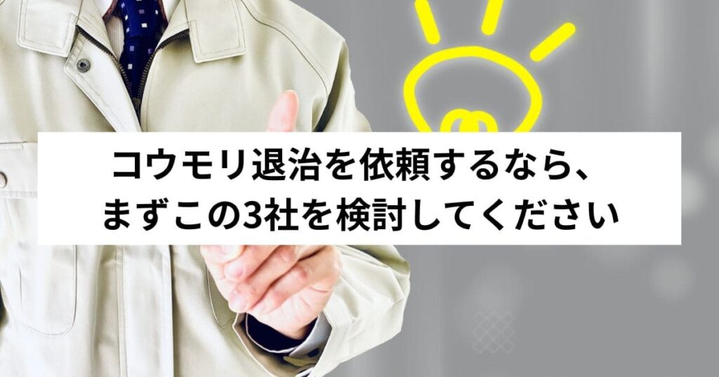 コウモリ退治を依頼するなら、まずこの3社を検討してください