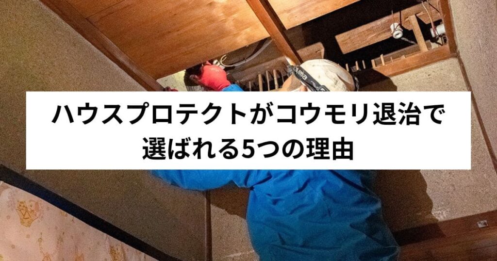 ハウスプロテクトがコウモリ退治で選ばれる5つの理由