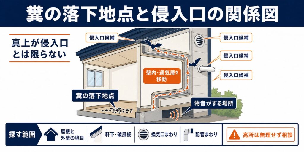 糞の落下地点と侵入口の関係図