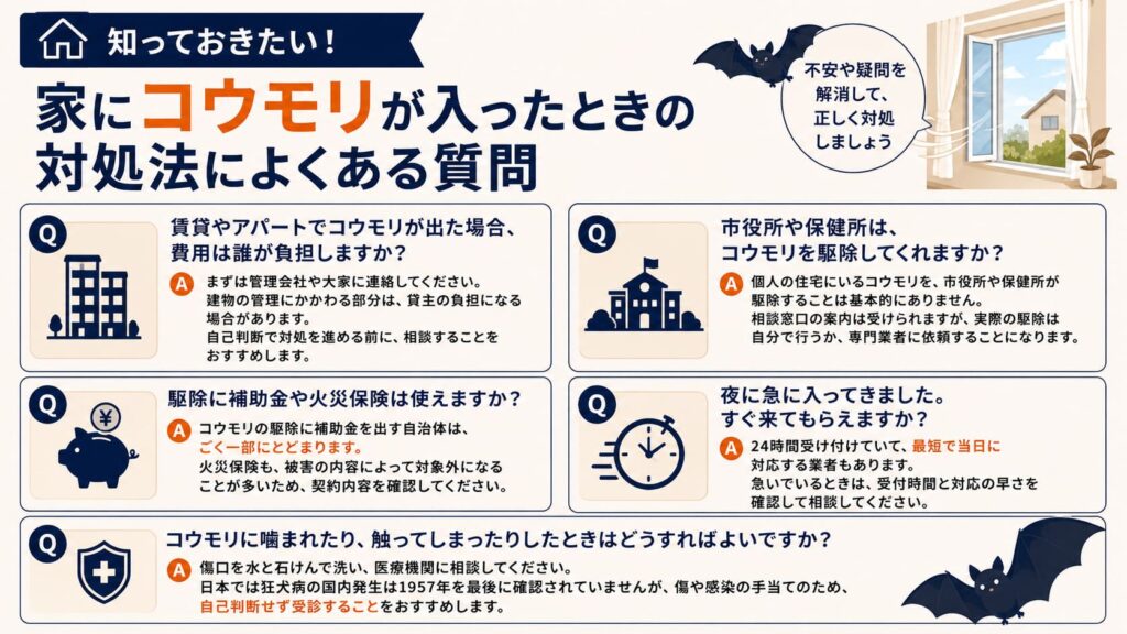 家にコウモリが入ったときの対処法によくある質問