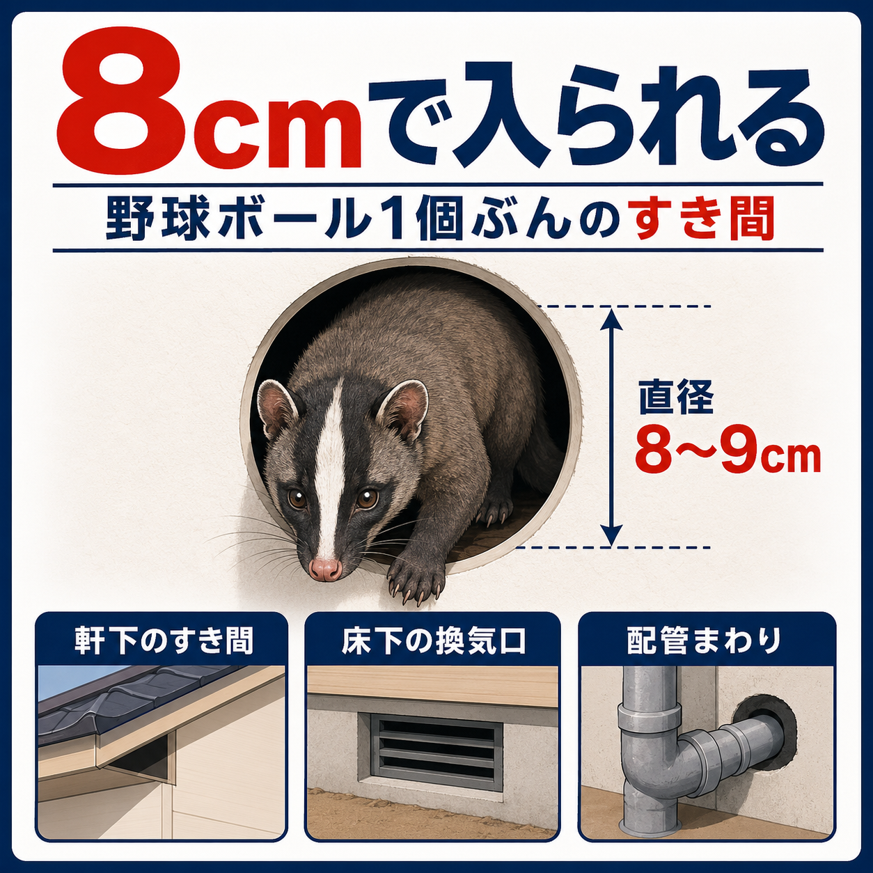 ハクビシンが侵入できる直径8〜9cmのすき間の大きさと、軒下・通気口・配管まわりの侵入口を示した図解
