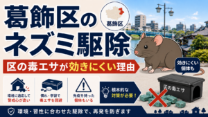 葛飾区のネズミ駆除で区が配る毒エサが効きにくい理由を解説する記事のアイキャッチ画像