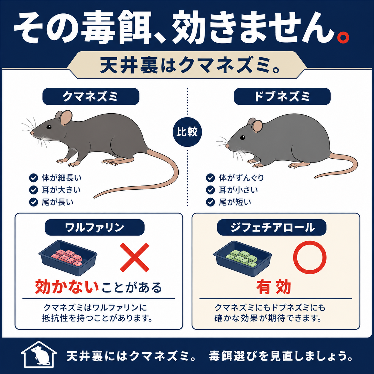 クマネズミとドブネズミの見分け方と殺鼠剤の有効成分による効き方の違いを示した図解
