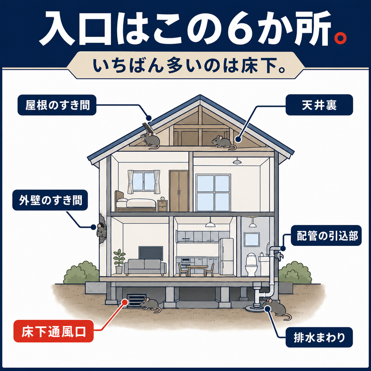 中野区の住宅でネズミの侵入口になりやすい床下通風口や屋根の隙間など6か所のチェック図解