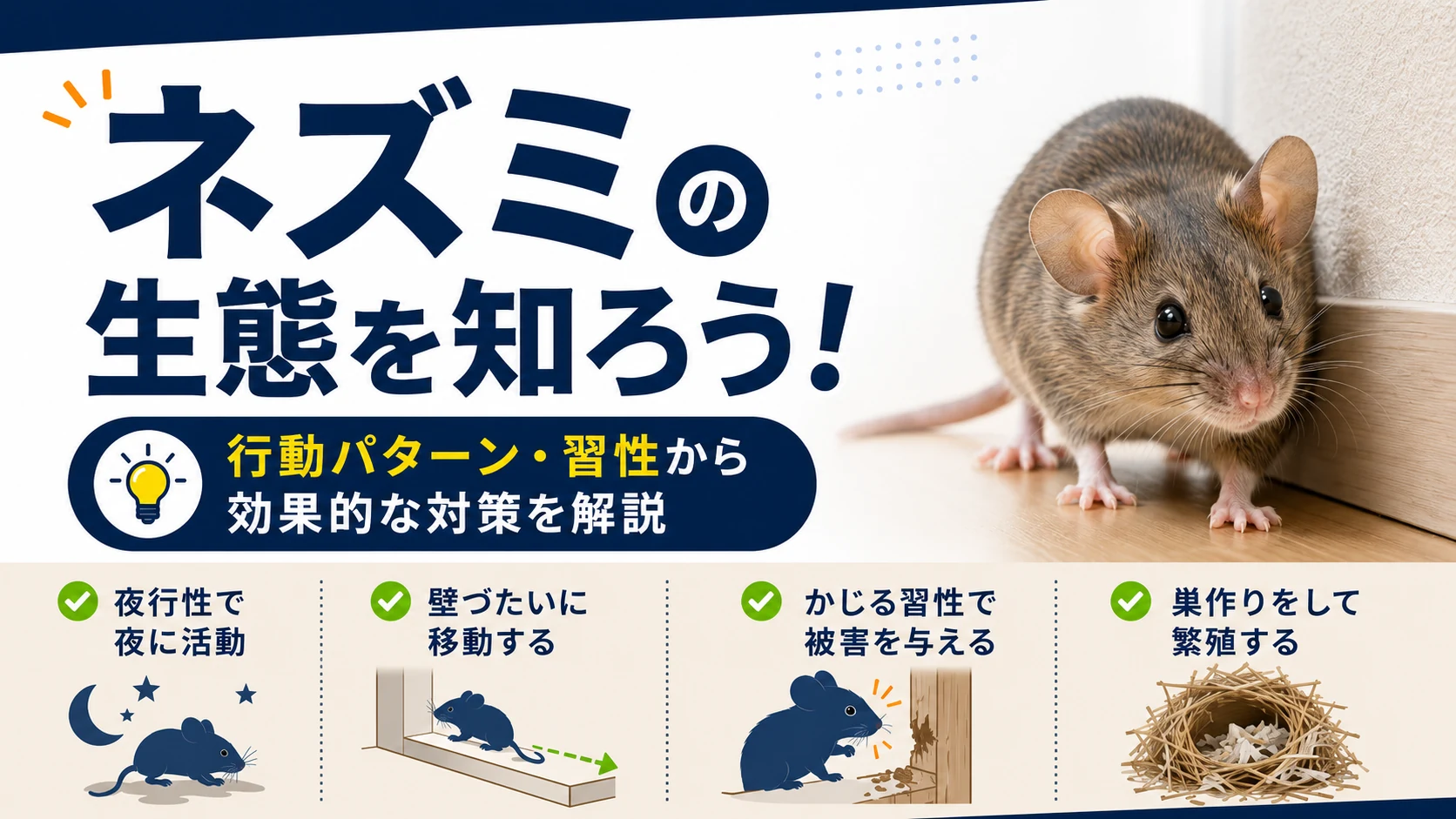ネズミの生態や行動パターン、習性をもとに効果的な対策を解説するブログアイキャッチ画像