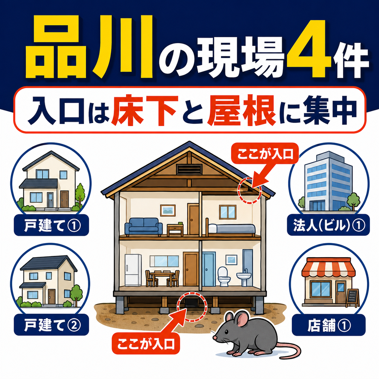 品川区のネズミ施工4件が戸建て2件と法人1件と店舗1件で侵入口は床下と屋根に集中していたことを家の断面で示した図解