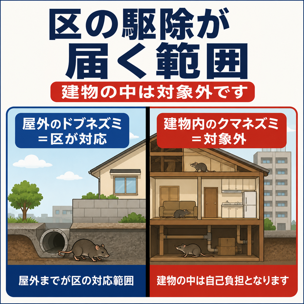 新宿区のネズミ対策は屋外のドブネズミが区の担当で建物内のクマネズミは対象外という境界線の図解