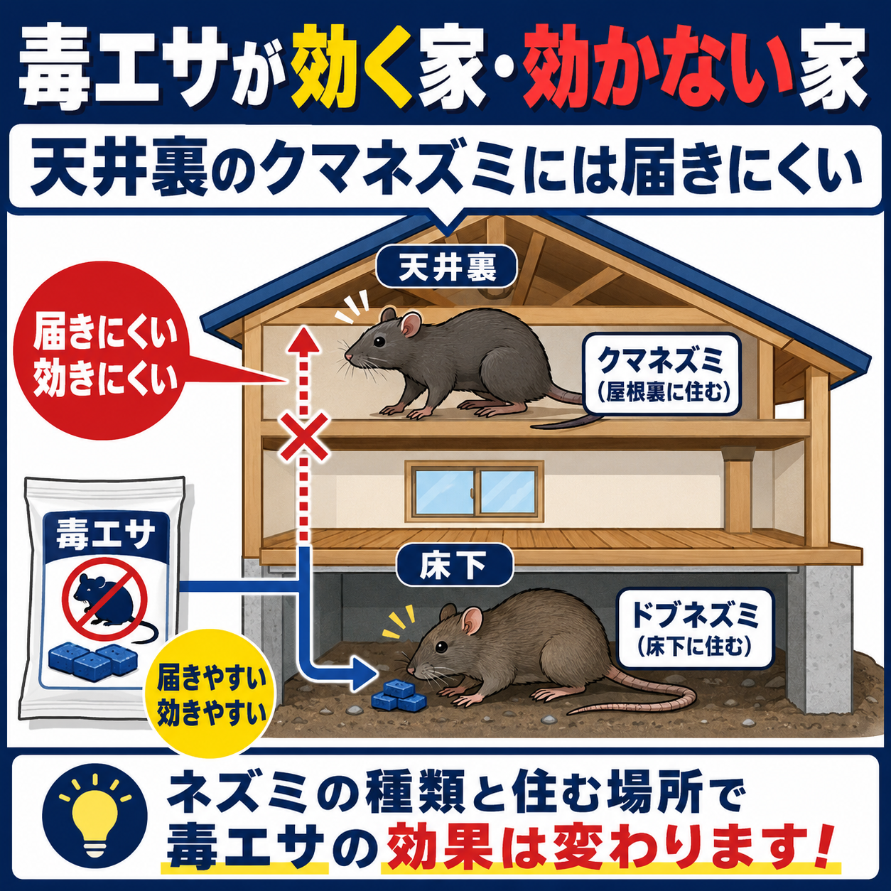 墨田区が窓口で配布する毒エサが効く場面と効きにくい場面をクマネズミとドブネズミで比較した図解