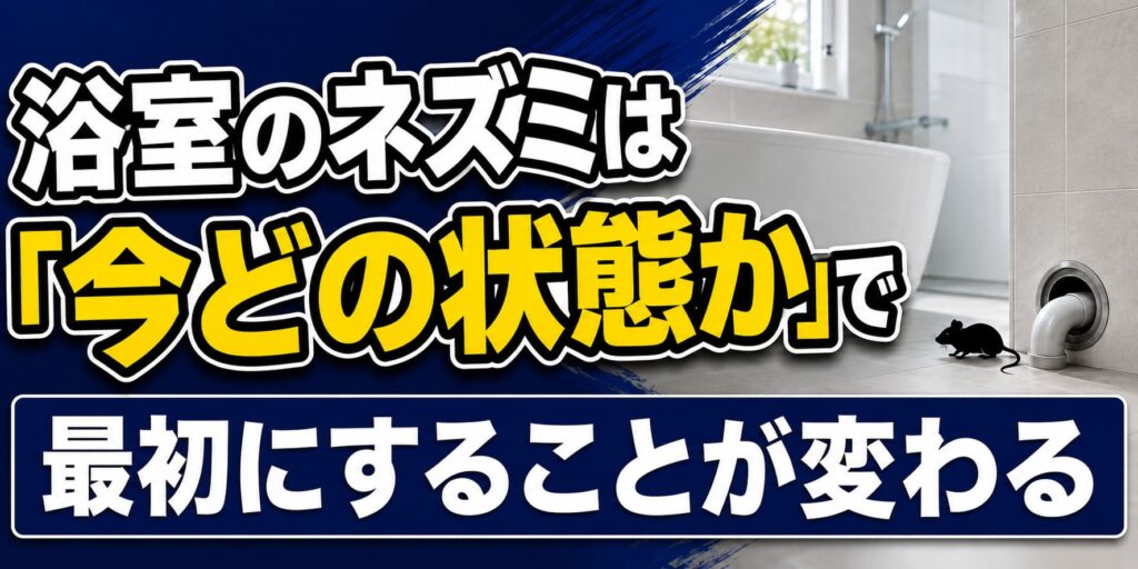 浴室のネズミは「今どの状態か」で最初にすることが変わる