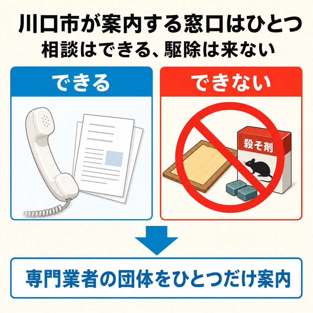 川口市のネズミ相談窓口でできることとできないことを整理した早見図解