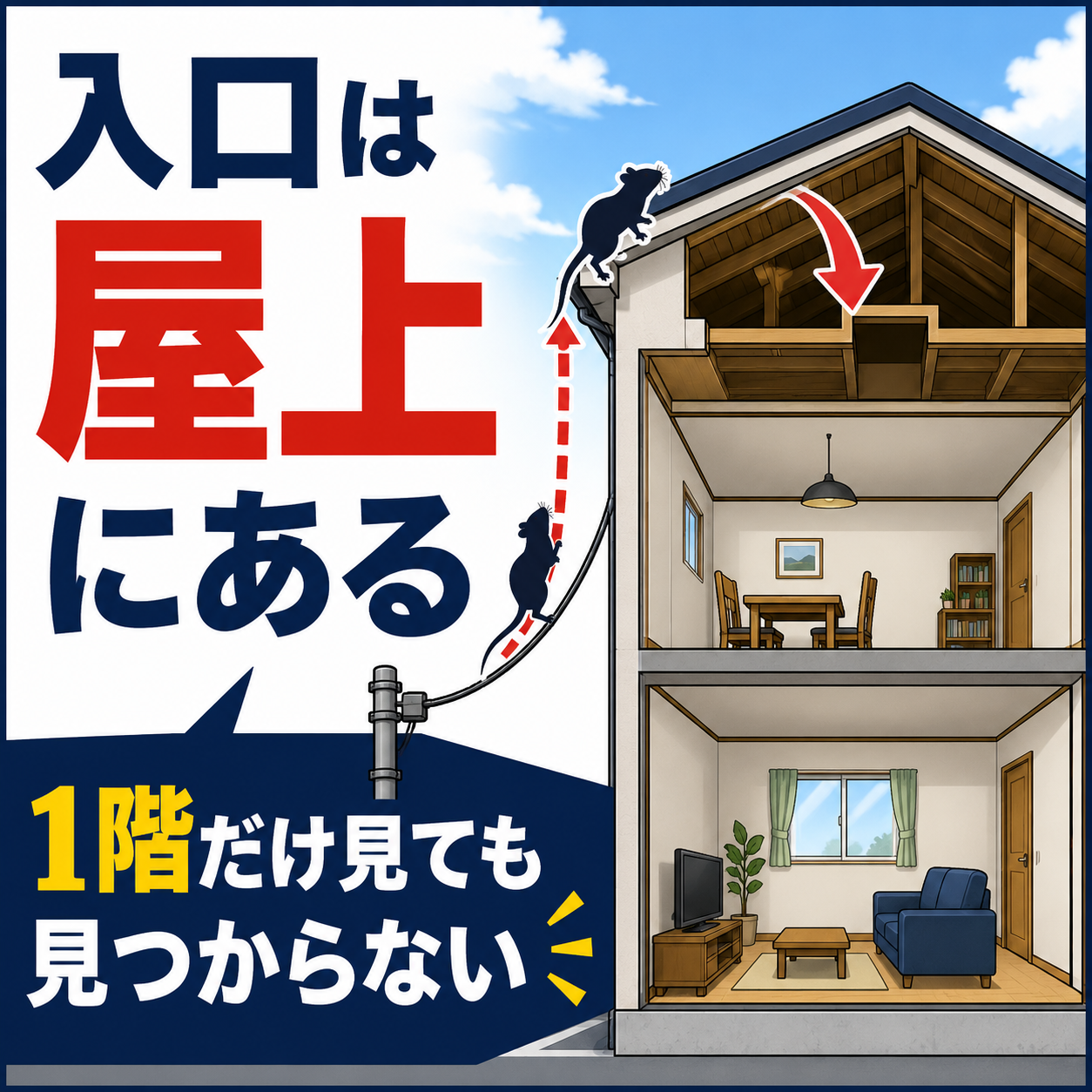 台東区のネズミ駆除で確認したい侵入ルートの断面図。電線から屋上へ登り天井裏へ入る経路を示した図解