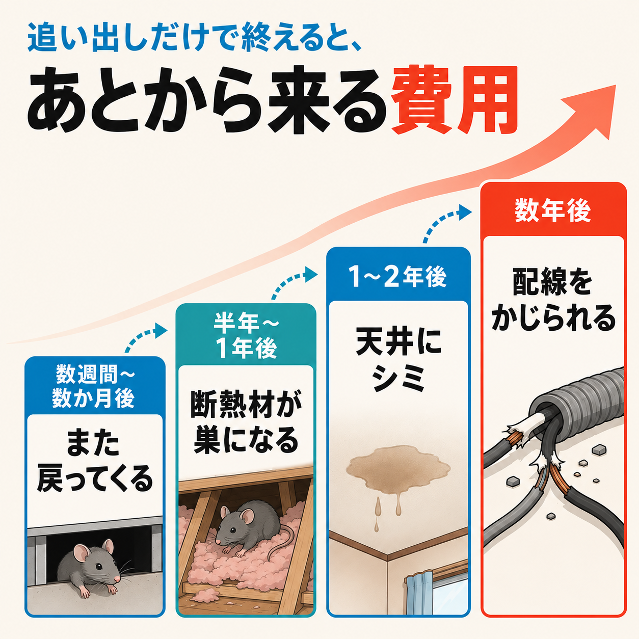 追い出しだけで終えた場合に、再発から断熱材の巣・天井のシミ・配線の被害へ進み修繕費が積み上がっていく流れを示した図解