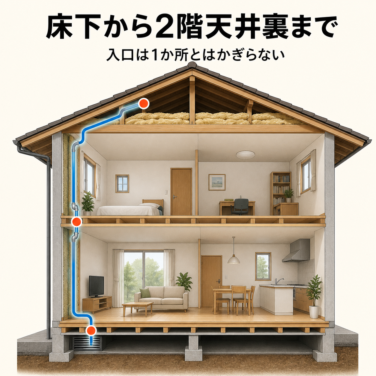 床下の通風口から壁の中を通って2階の天井裏までネズミの侵入経路がつながっていることを示した住宅断面図