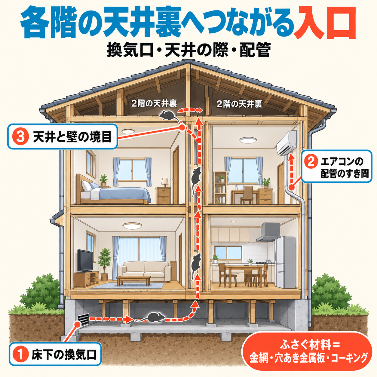岐阜市の施工現場で見つかった入口をもとに、床下の換気口・エアコンの配管のすき間・天井と壁の境目から、ネズミが各階の天井裏へ進む通り道を示した住宅の断面図