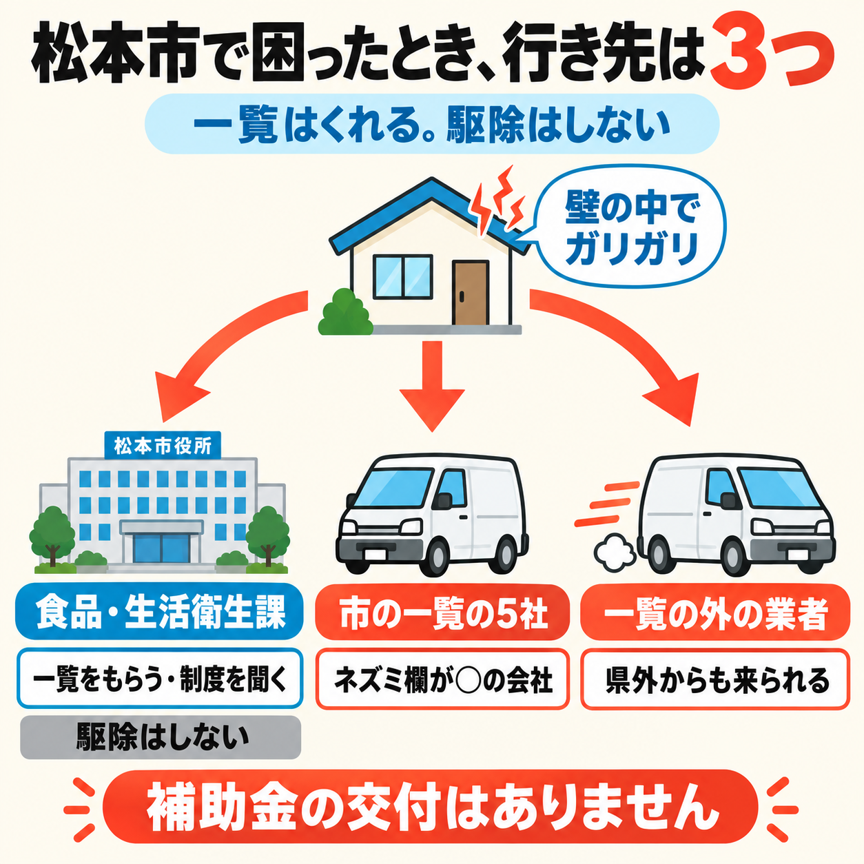 松本市でネズミに困ったときの相談先が3つに分かれる図解。市の窓口・市の一覧の地元業者・全国から来る業者