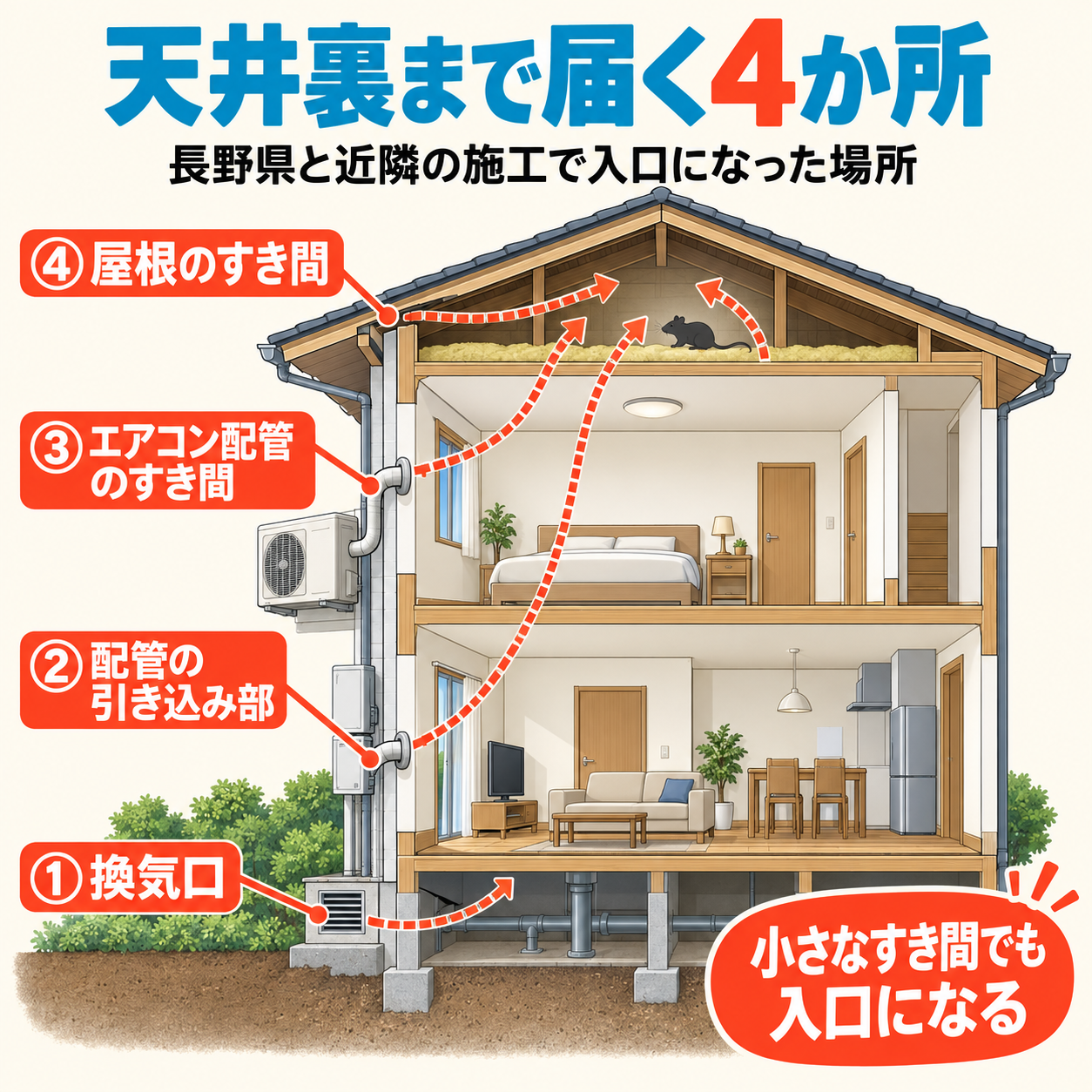 ①換気口②配管の引き込み部③エアコン配管のすき間④屋根のすき間の4か所から、ネズミが天井裏へ入り込む道筋を示した2階建て住宅の断面図