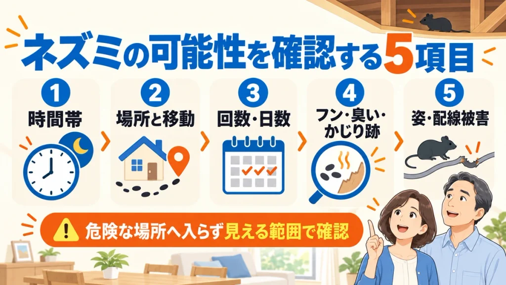 音の時間帯、場所と移動、回数と日数、フンや臭い、姿や配線被害を確認する5項目の図解