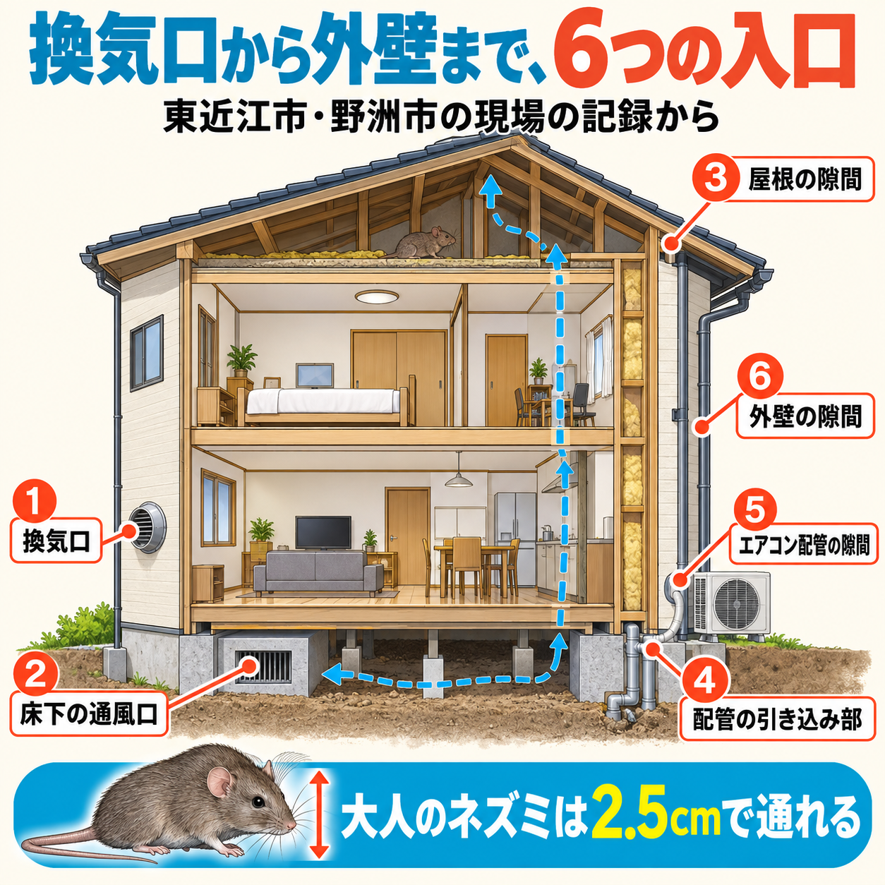近江八幡市のネズミ駆除で調べる家の入口6か所(換気口・床下の通風口・屋根の隙間・配管の引き込み部・エアコン配管の隙間・外壁の隙間)を住宅の断面に示した図解