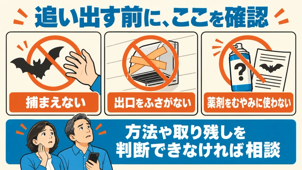 捕まえない、出口をふさがない、薬剤をむやみに使わないという注意点と、判断できない場合の相談を示す図解