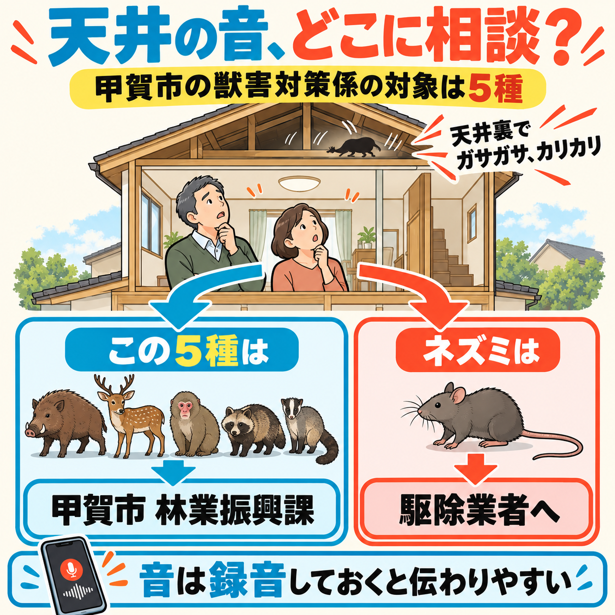 甲賀市で天井から音がしたとき、アライグマやハクビシンなら林業振興課、ネズミなら駆除業者へと相談先が分かれる分かれ道の図解