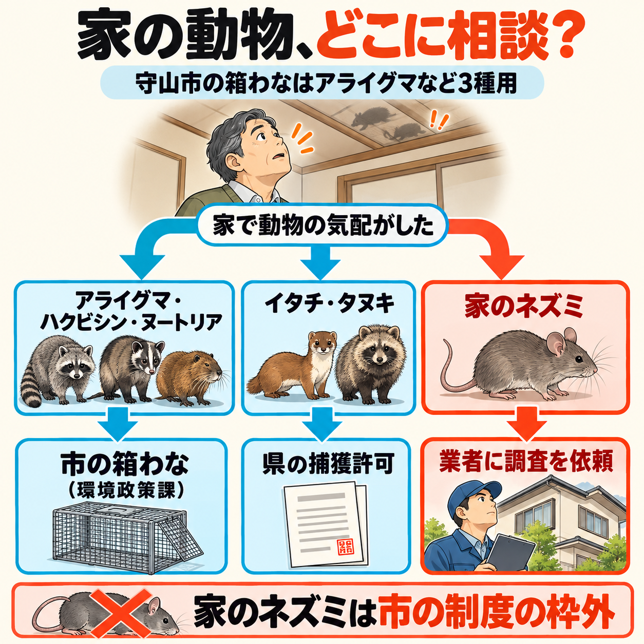 ネズミ駆除 守山市｜家で動物の気配がしたときの相談先の分かれ道（アライグマ等は市の箱わな・イタチ等は県の許可・家のネズミは業者）