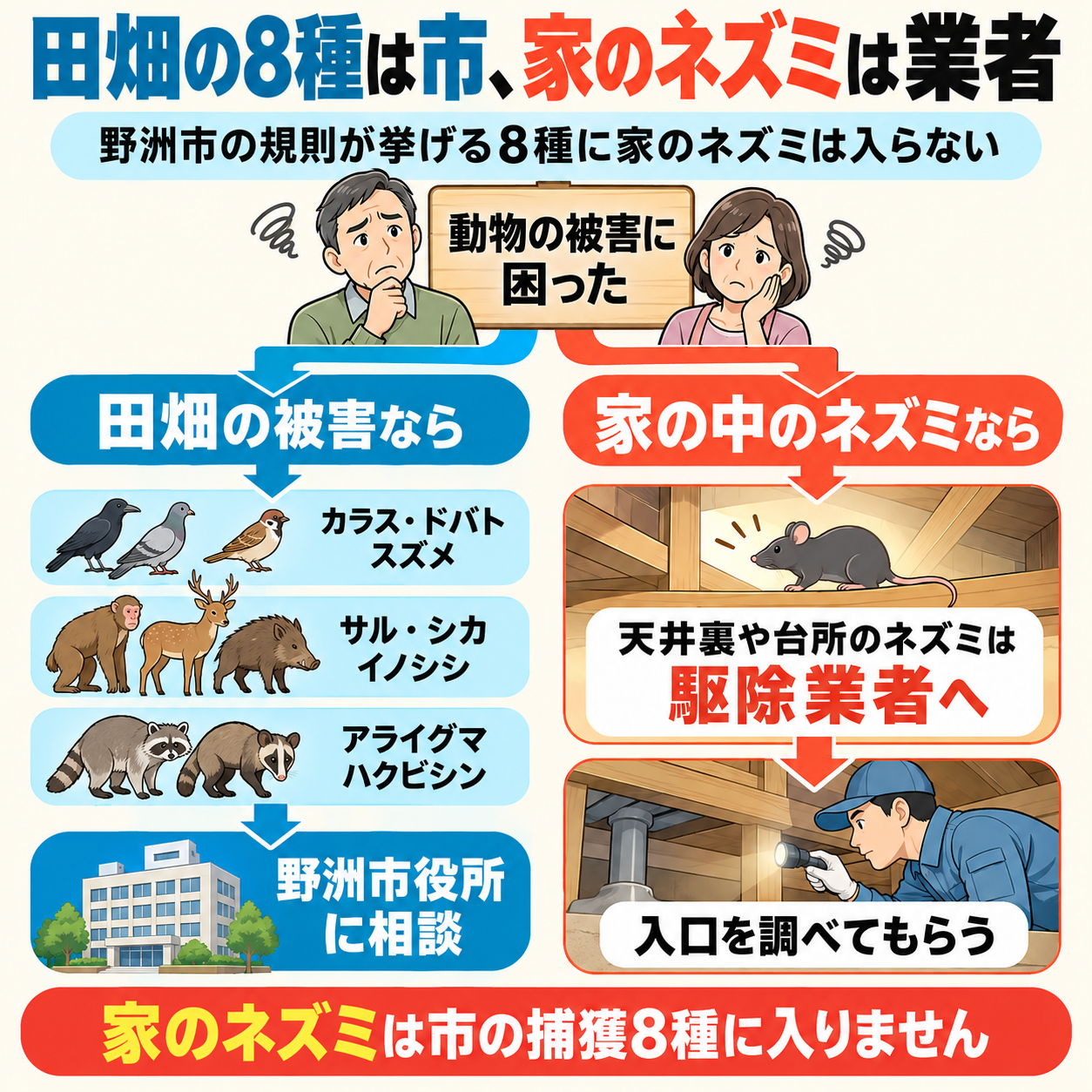 野洲市で動物の被害に困ったとき、田畑を荒らすカラスやサルやアライグマなど規則の8種は市へ、家の中のネズミは駆除業者へと相談先が分かれる分かれ道の図解
