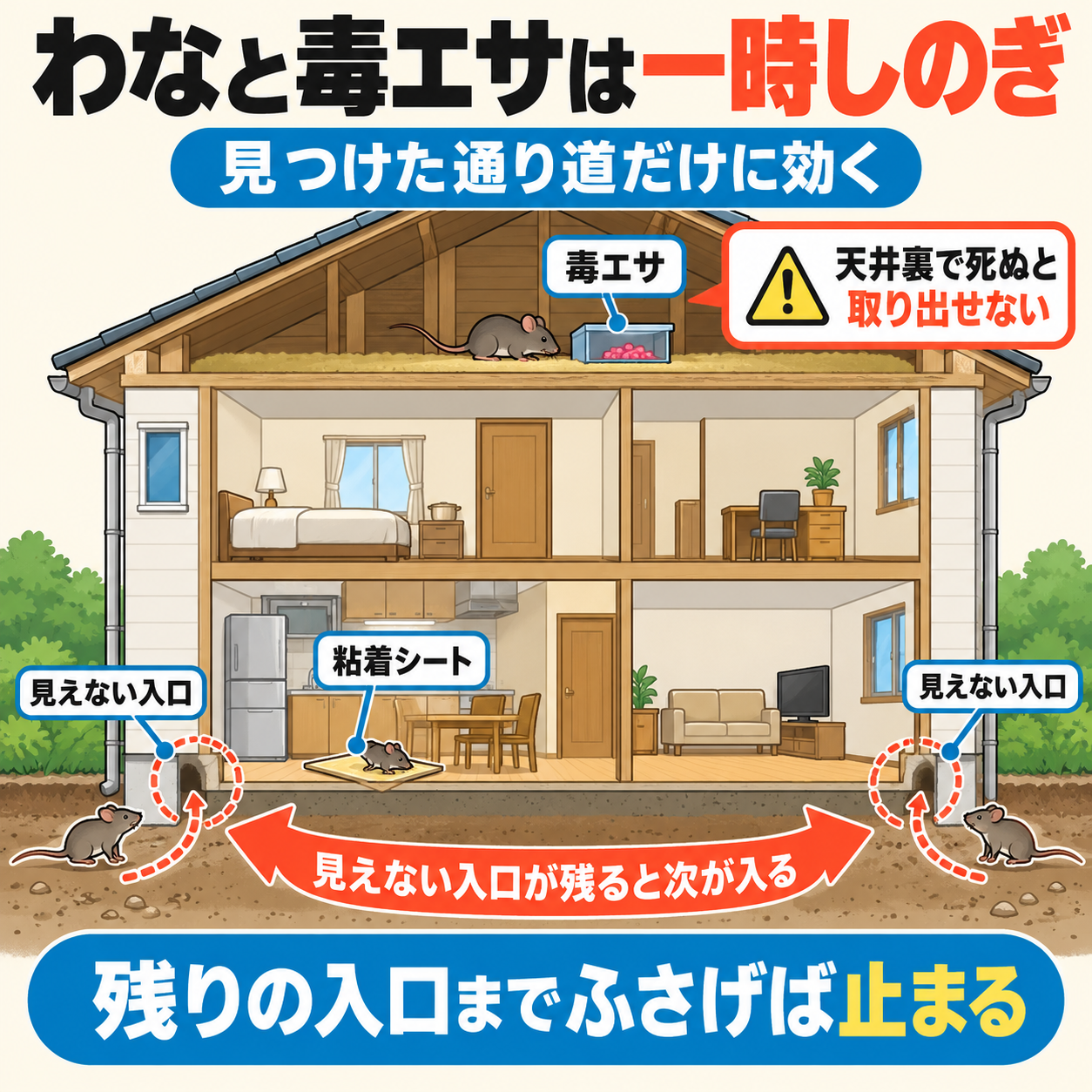 野洲市の家でネズミの自力対策が見つけた入口と通り道にしか効かず、見えない入口が残ると次のネズミが入ってくる流れを示した図解