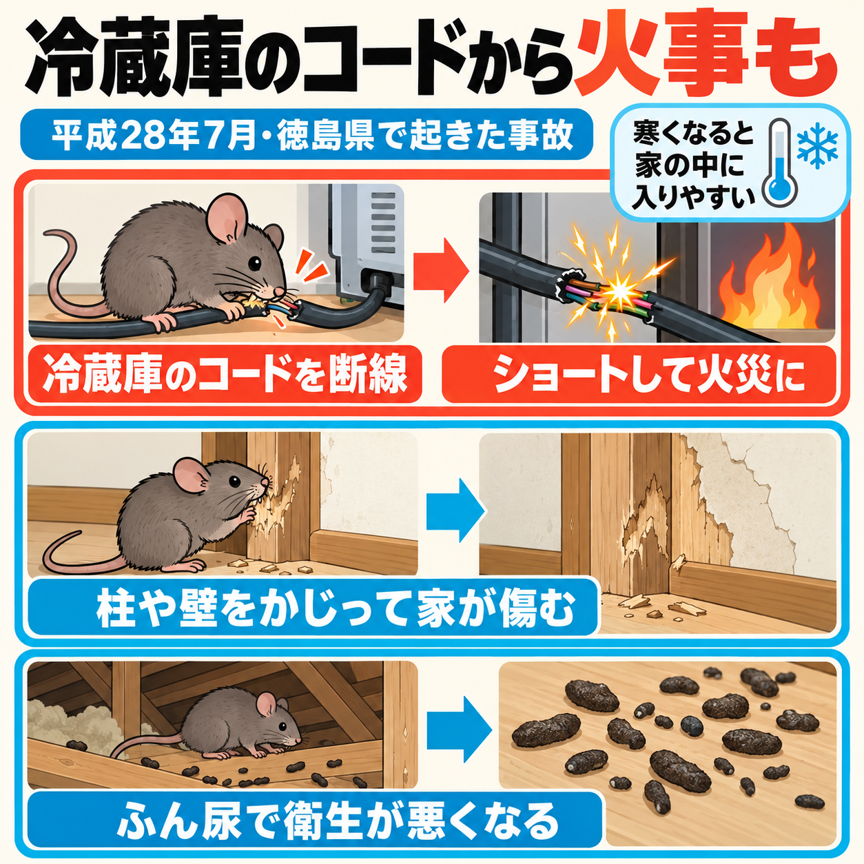 ネズミを放置すると電源コードをかじる、柱や壁を傷める、ふん尿で衛生が悪くなるという3つの損が広がる流れを示した図解